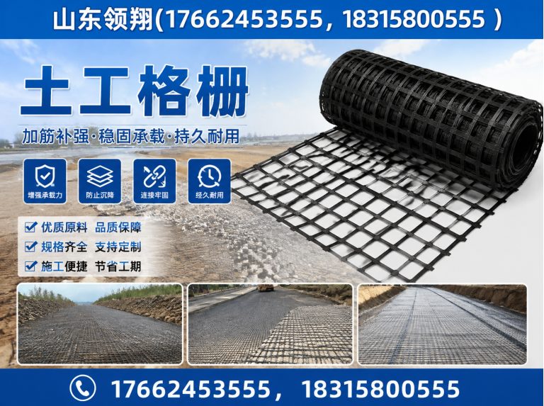 儋州土工格栅展示图
